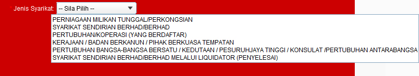 regimg_partner_syarikat_daftar_butiran_jenissykt.jpg